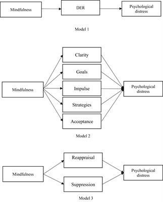Adolescents’ Mindfulness and Psychological Distress: The Mediating Role of Emotion Regulation